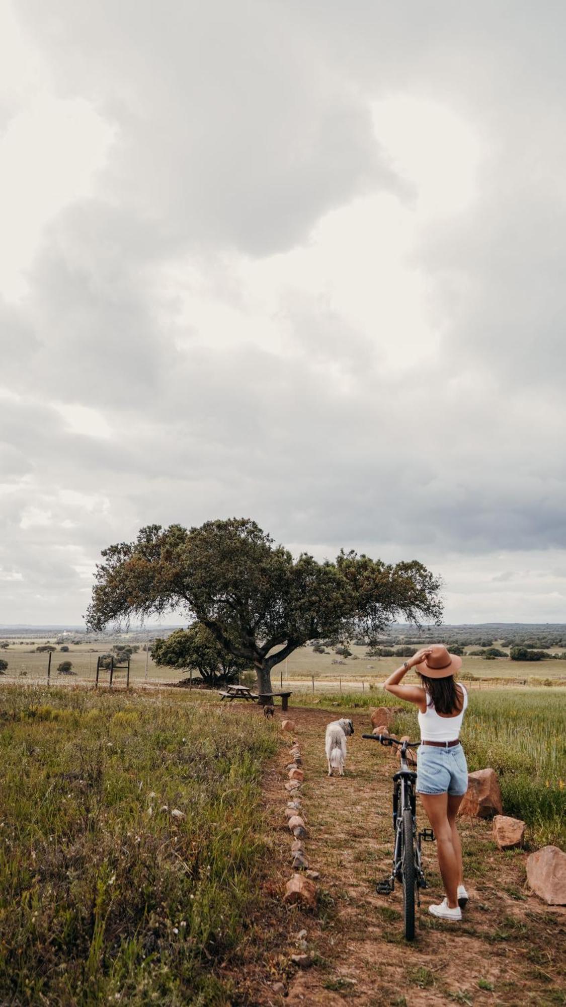 Montimerso Skyscape Countryhouse モンサラズ エクステリア 写真